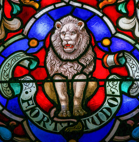 Лев, символ силы - витраж в соборе Мехелен
