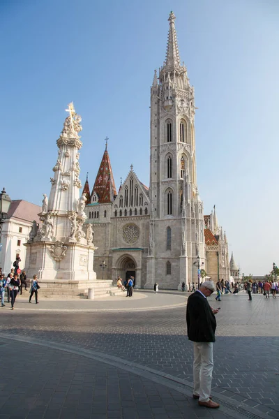 Matthias kirche und heilige dreifaltigkeit säule in budapest, ungarn — Stockfoto