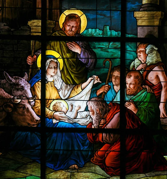 Doğum sahnesi Noel - vitray — Stok fotoğraf