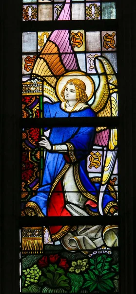 Stained Glass - Angel — Stock Photo, Image
