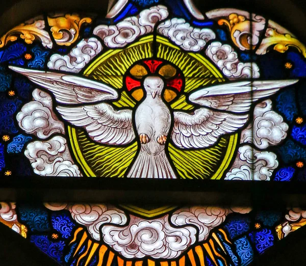Вітражі - голубка, Святого Духа — стокове фото