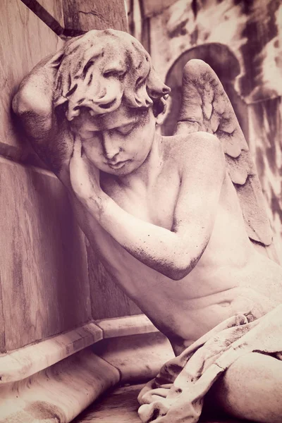 Mourning angel in Recoleta — Stock Photo, Image