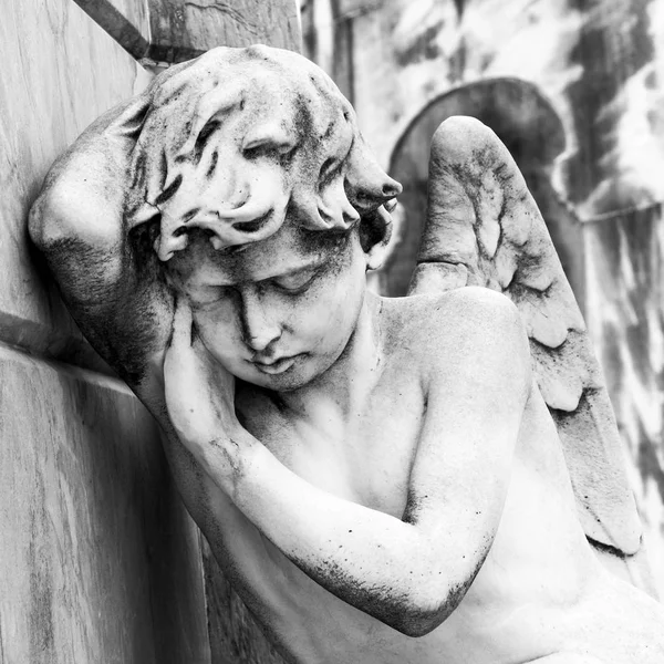 Mourning angel at Recoleta Cemetery — Stock Photo, Image