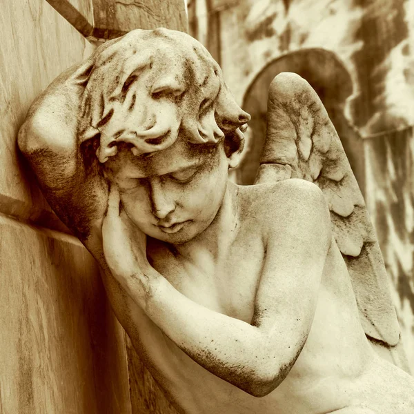 Mourning angel at Recoleta — Stock Photo, Image