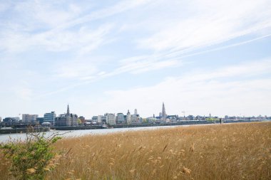Antwerp bölgesindeki nehir Scheldt Flanders, Belçika için Görünüm