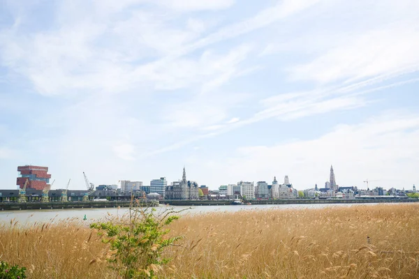 View on Antwerp by the River Scheldt in Flanders, Belgium — Stock Photo, Image