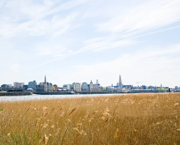 Blick auf antwerp am fluss scheldt in flandern, belgien — Stockfoto