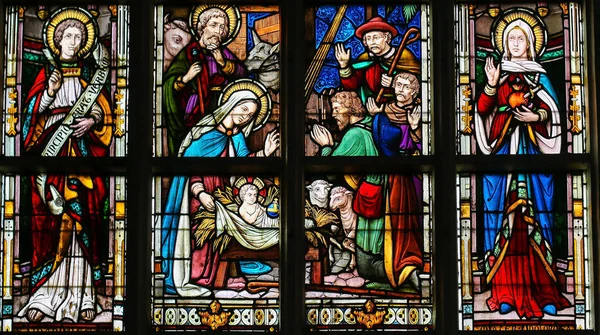 Stained Glass - Nativity Scene at Christmas — Stock Photo, Image