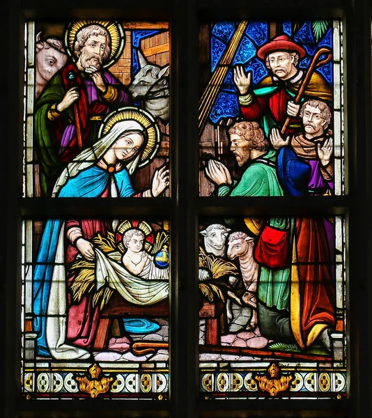 Stained Glass - Nativity Scene at Christmas — Stock Photo, Image