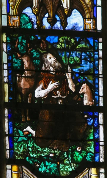Vidro manchado na Catedral de Rouen - São João Batista — Fotografia de Stock