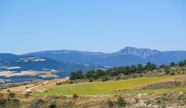 Landschap in Baskenland, Spanje — Stockfoto