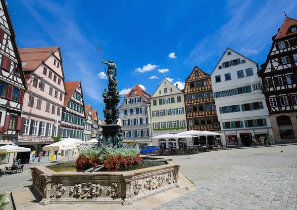 Tubingen, Baden Wurttemberg, Almanya