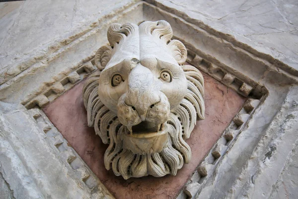 Rzeźba lwa przy chrzcielnicy Siena, Toskania, Włochy — Zdjęcie stockowe