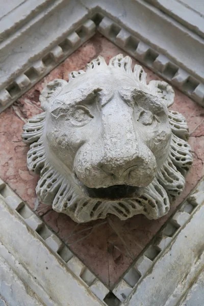 Rzeźba lwa przy chrzcielnicy Siena, Toskania, Włochy — Zdjęcie stockowe