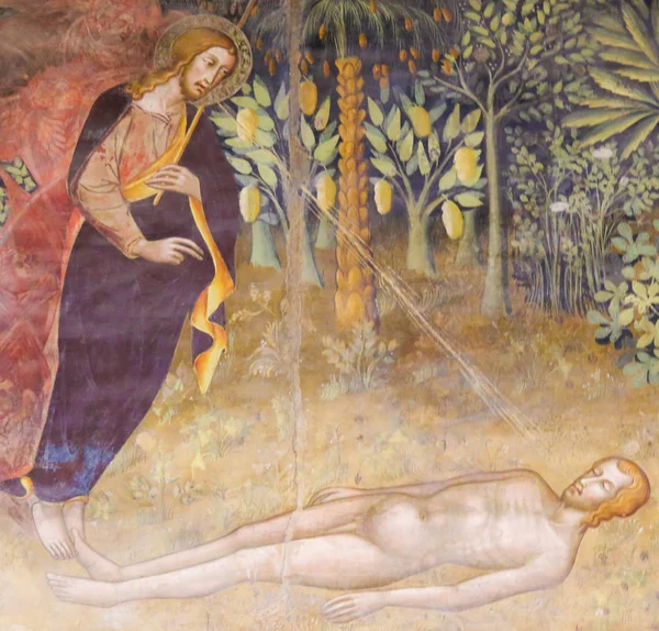 Фреска в Сан Гіміньяно - створення Адама — стокове фото