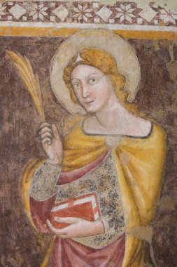 Bologna, İtalya - Santo Stefano Bazilikası