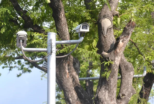 Câmera de CCTV assistindo por segurança 24 horas no parque — Fotografia de Stock