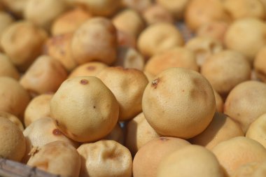 kurutulmuş limon arka plan.