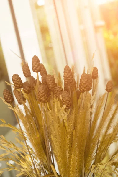 Flores secas en jarrón con pino y arroz de cebada — Foto de Stock