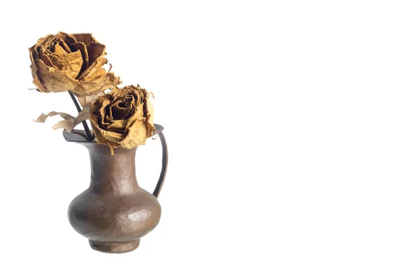 Sušené růže izolovaných na bílém — Stock fotografie