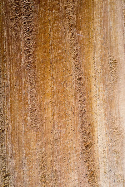 Stängt upp trä textur bakgrund — Stockfoto