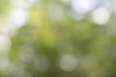 Yaprak, bokeh, arka plan doku odak bulanıklık.