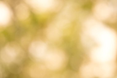 Yaprak, bokeh, arka plan doku odak bulanıklık.