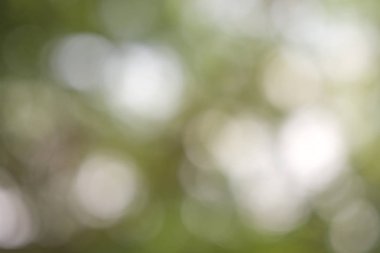 Yaprak, bokeh, arka plan doku odak bulanıklık.