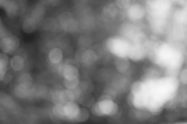 Yaprak, bokeh, arka plan doku odak bulanıklık.