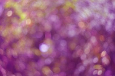 Renkli odaklanmış ışıklar soyut arkaplan