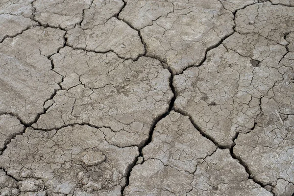 Soyut kuru kırık dünya arka plan.