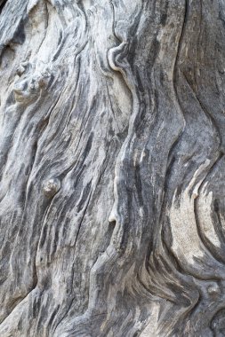 Eski ahşap arkaplan dokusu.