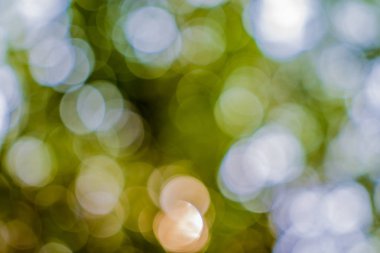 Renkli odaklanmış ışıklar soyut arkaplan