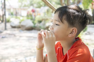 ekmek rulo sandiviçi yemek bir çocuk portresi