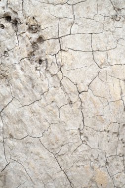 ahşap doku arka plan, makro modu kapalı