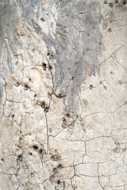 ahşap doku arka plan, makro modu kapalı