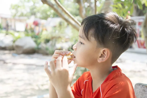 portrait of a boy eating bread ice cream roll sandwich