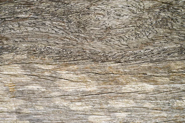 Textura Madera Cerrada Fondo Modo Macro — Foto de Stock