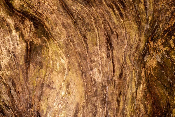 Wood Texture Background Surface Old Natural Pattern — Stock Photo, Image