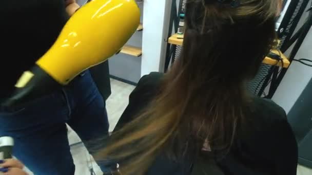 Esteticista golpe secagem cabelo das mulheres depois de dar um novo corte de cabelo no salão — Vídeo de Stock