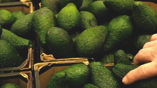 Boer kiest avocado op de groentemarkt — Stockvideo