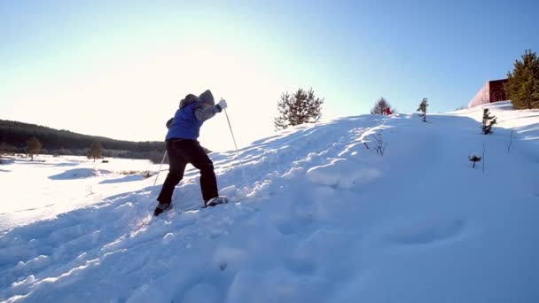 Rapaz esqui cross-country. diversão de inverno — Vídeo de Stock