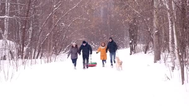 Cammina in inverno con un cane. Un gruppo di giovani va in tubing — Video Stock