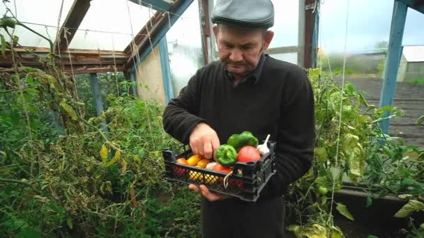 Farmers Market: Farmers hands holding a vegetable Harvest agricultural industry concept. Organic farm — Stockvideo