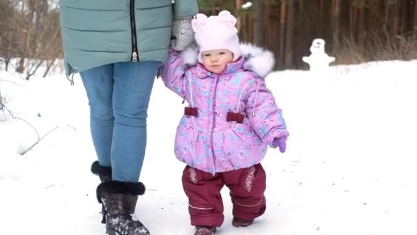 Mladá matka chodí se svým dítětem v zimě v parku. — Stock video