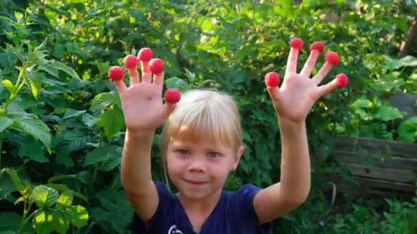 Happy little child with raspberry outdoors — Stock Video