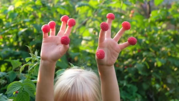 Happy little child with raspberry outdoors — Stock Video