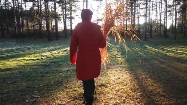 한 여자가 마른 풀 다발을 손에 들고 다닌다. 가을 — 비디오