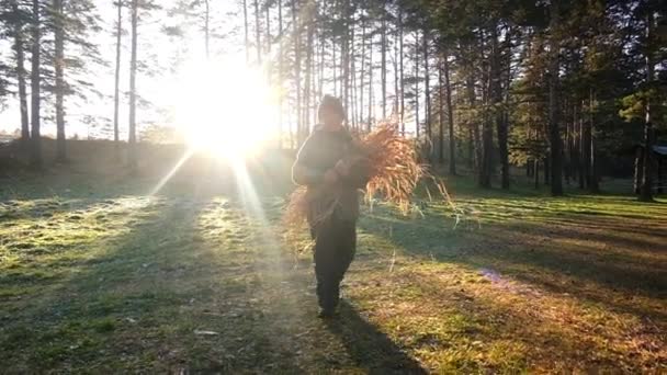 Il ragazzo porta un mucchio di erba secca. Paesaggio d'autunno . — Video Stock