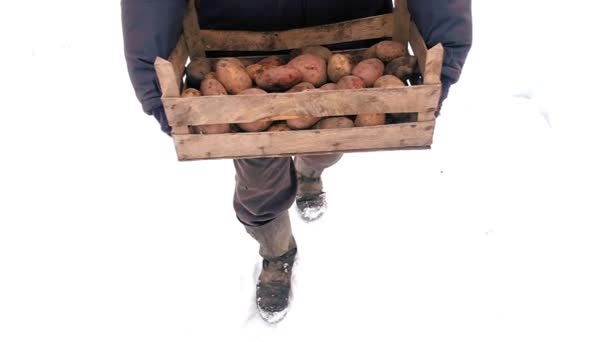 Bonden bär på en låda potatis. Vinterbestånd — Stockvideo